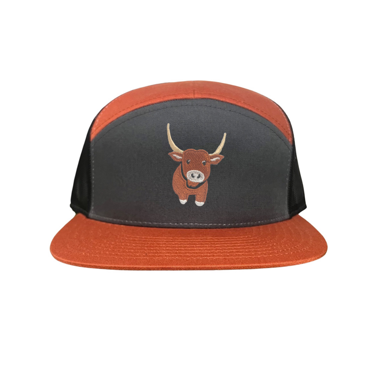 Texas Longhorns - Jax The Longhorn