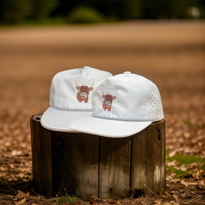 Texas Longhorns - Jax The Longhorn