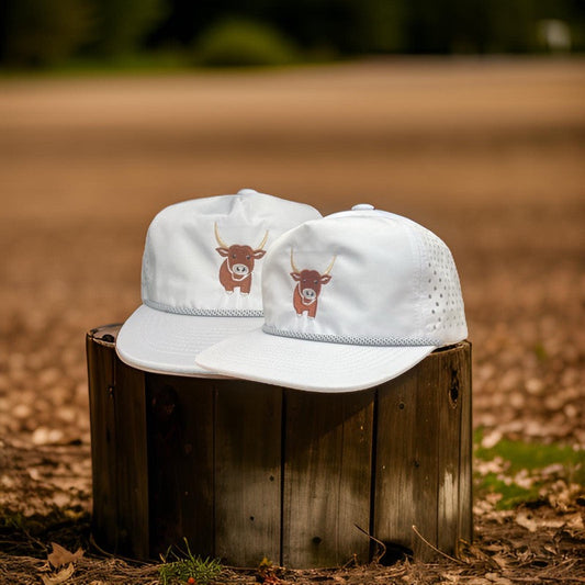 Texas Longhorns - Jax The Longhorn