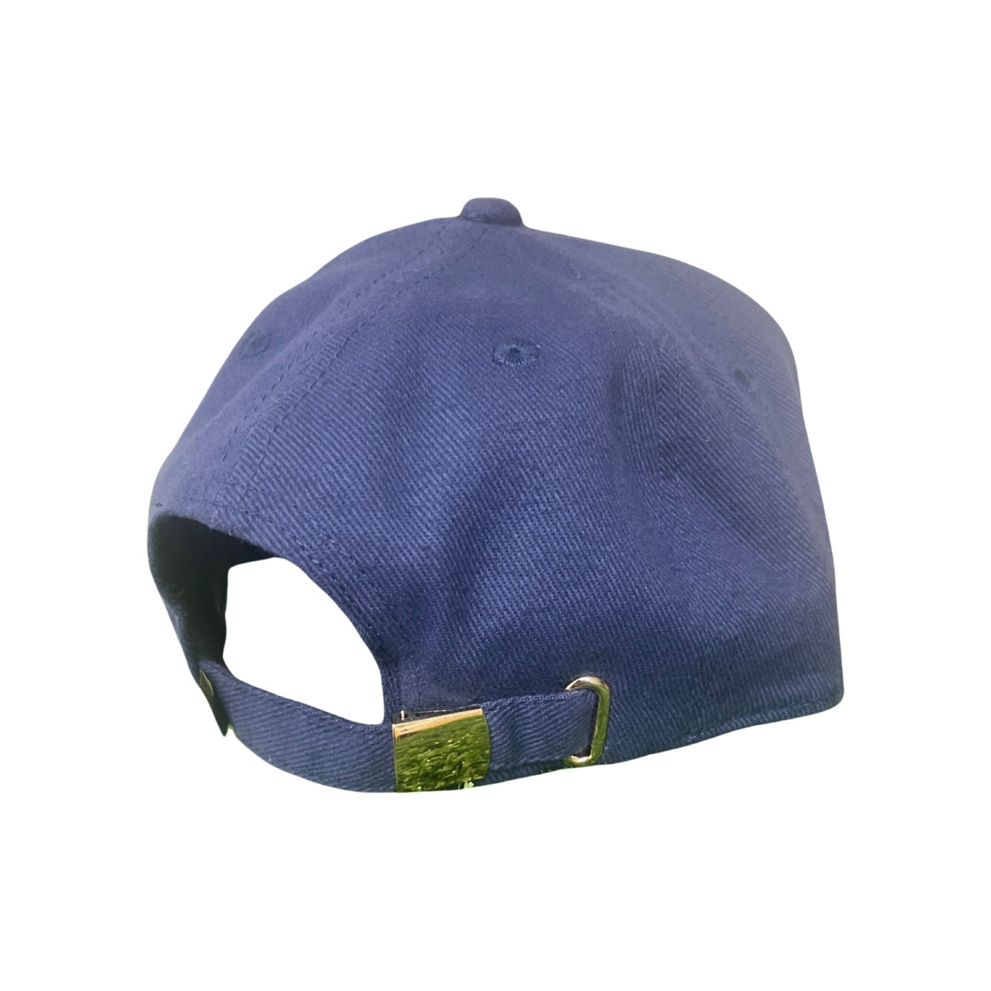 Texas Longhorns Gold Metal Longhorn Logo on Navy Cotton & Tan Suede Flatbill / Hat / UT9011 / MM